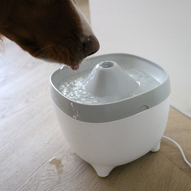 Fantana Yuna 2L alba/gri