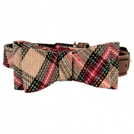 Zgarda Scottish pentru caini - Crem