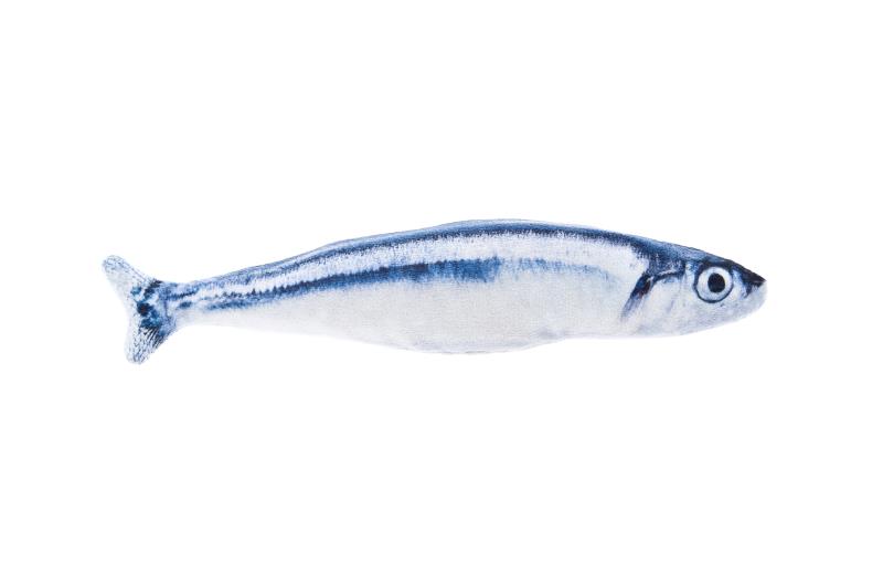 Jucarie pentru pisici Matatabi Sardina 20cm