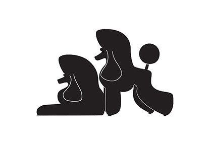 Autocolant Caniche 25cm - PetGuru Pet Shop by Vetomed
