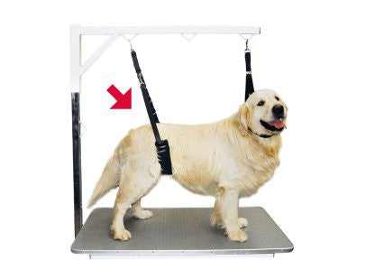 Comfort Belly Strap pentru mesele de toaletaj - PetGuru Pet Shop by Vetomed
