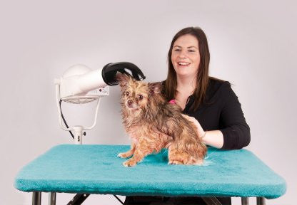 Husa pentru masa de toaletaj - turcoaz