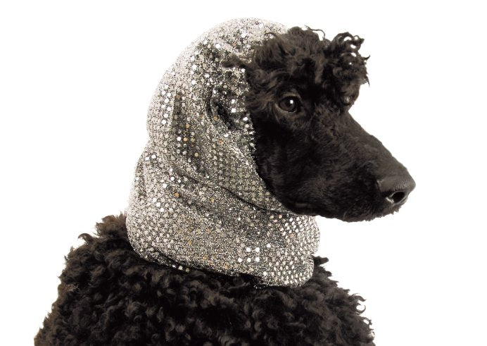 Show Tech Cagula Luxe pentru Urechi L