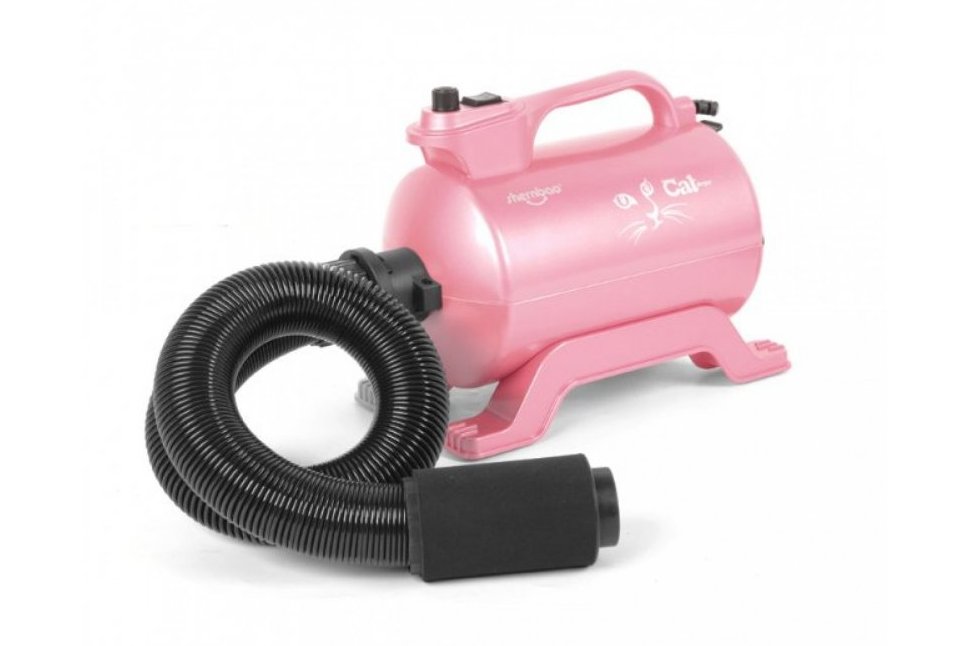 Sofiator Special pentru Pisici