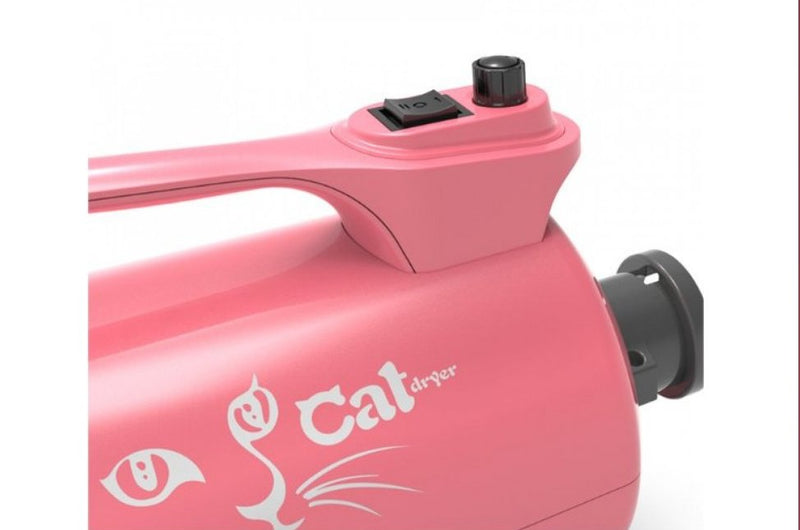 Sofiator Special pentru Pisici