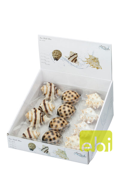 Decoratiune Acvariu - Aqua Della Sea Shell Mix - PetGuru Pet Shop by Vetomed
 - 2