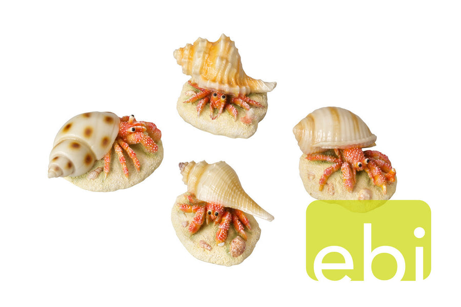 acvaristica aqua della