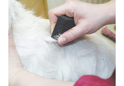 Show Tech piatra pentru trimat - PetGuru Pet Shop by Vetomed
 - 2