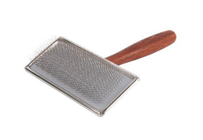 Perie Caini pentru Cele Mai Fragile Blanuri Show Tech Cluj