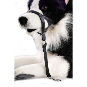 Lesa Dog Control - PetGuru Pet Shop by Vetomed
 - 1
