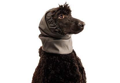 Cagula Show Tech Waterproof Neagra - PetGuru Pet Shop by Vetomed
