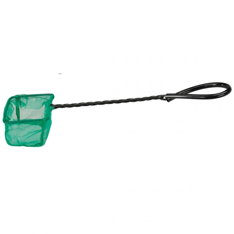 Minciog verde 20 cm