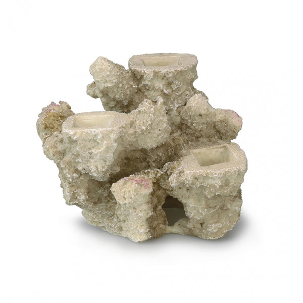 Decoratiune Acvariu - Recif corali S - 15x12x13CM