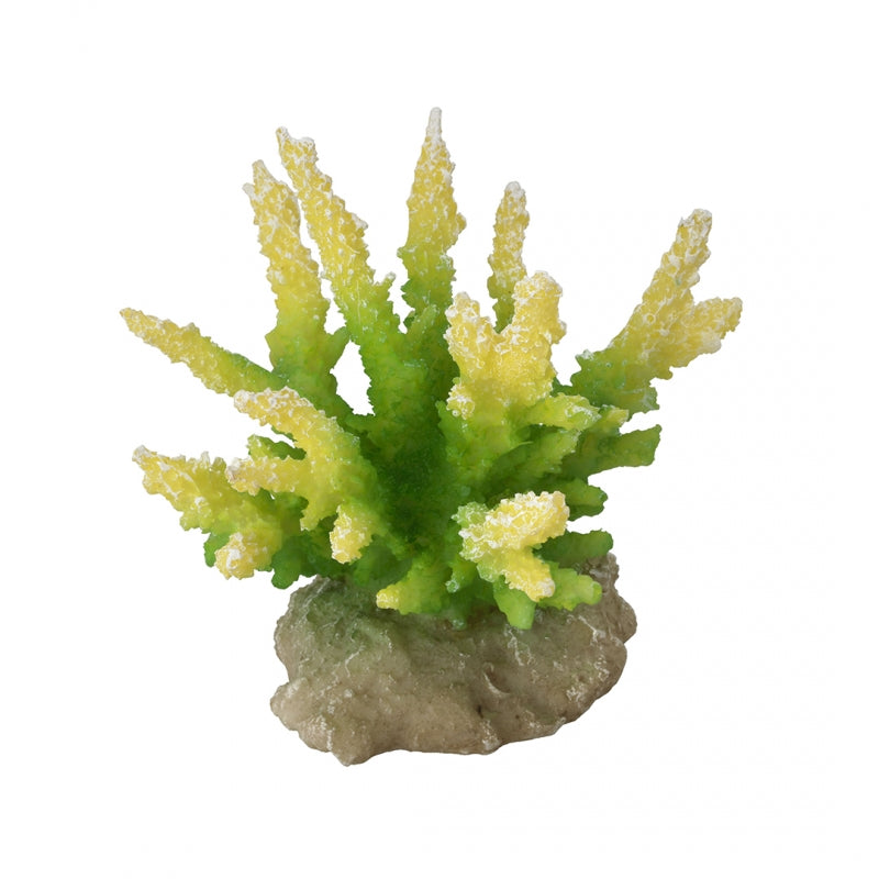 Decoratiune Acvariu - Coral hydnopora lime 9,5x8,5x10,5CM