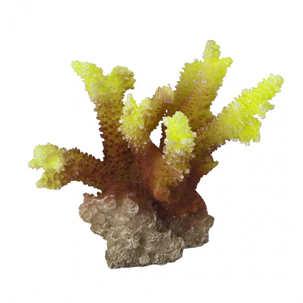 Decoratiune Acvariu - Coral acropora galben 10x9x10CM