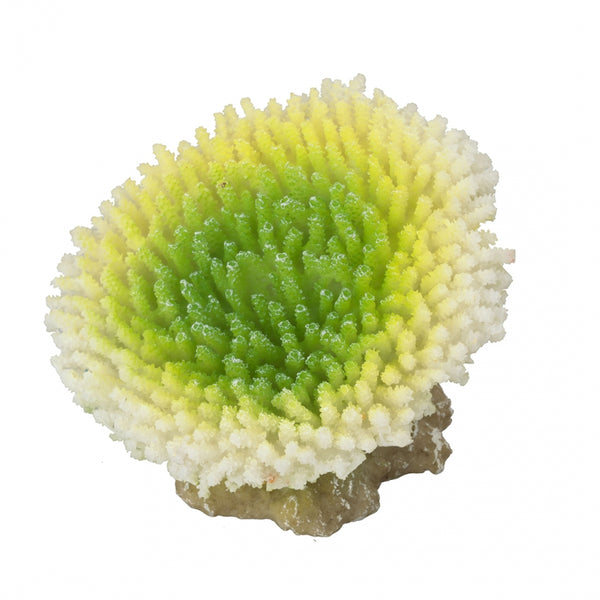 Decoratiune Acvariu - Coral acropora lime 10,5x9x8CM