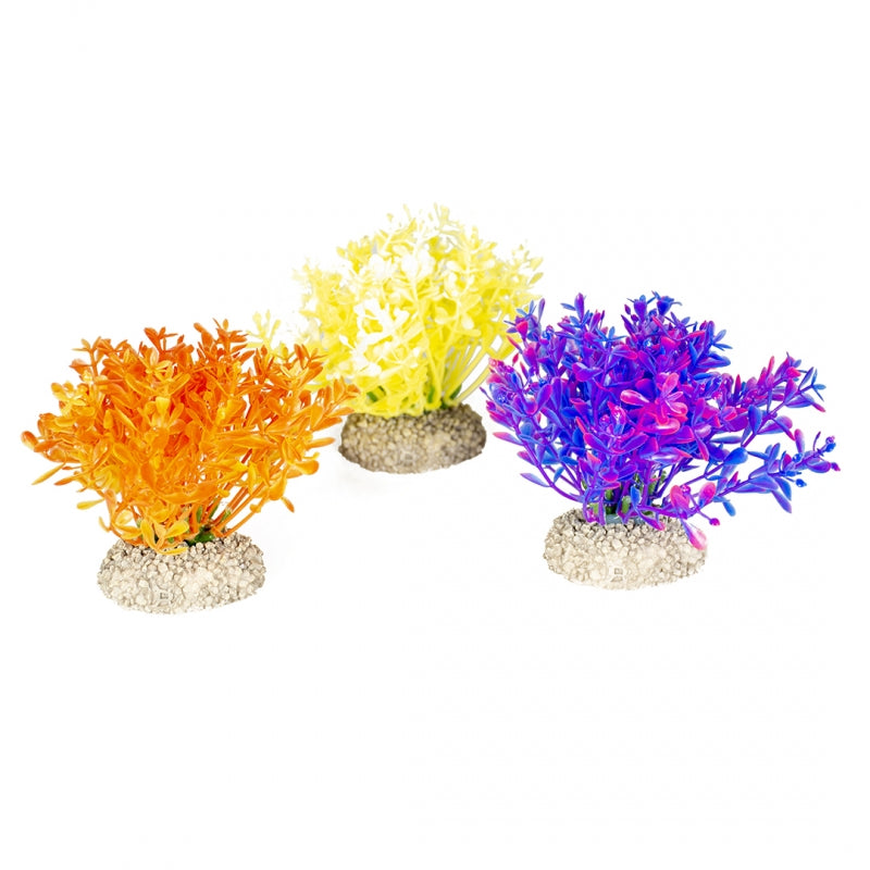 Decoratiune acvariu - mix plante Glosso h 9 cm