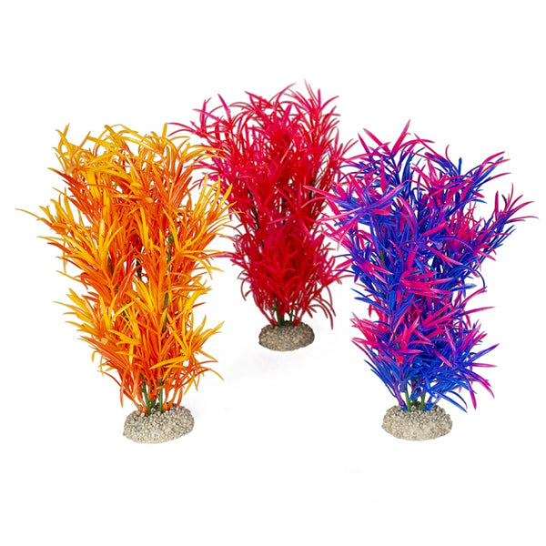 Decoratiune acvariu - mix plante Hydrilla h 27 cm