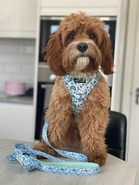 Pawsome Paws Lesa-Narwhall Aquamarine 120 cm