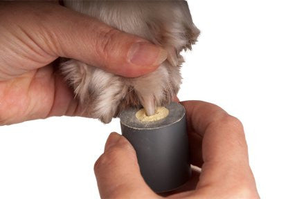 Suport Pudra pentru oprirea sangerarii - PetGuru Pet Shop by Vetomed
