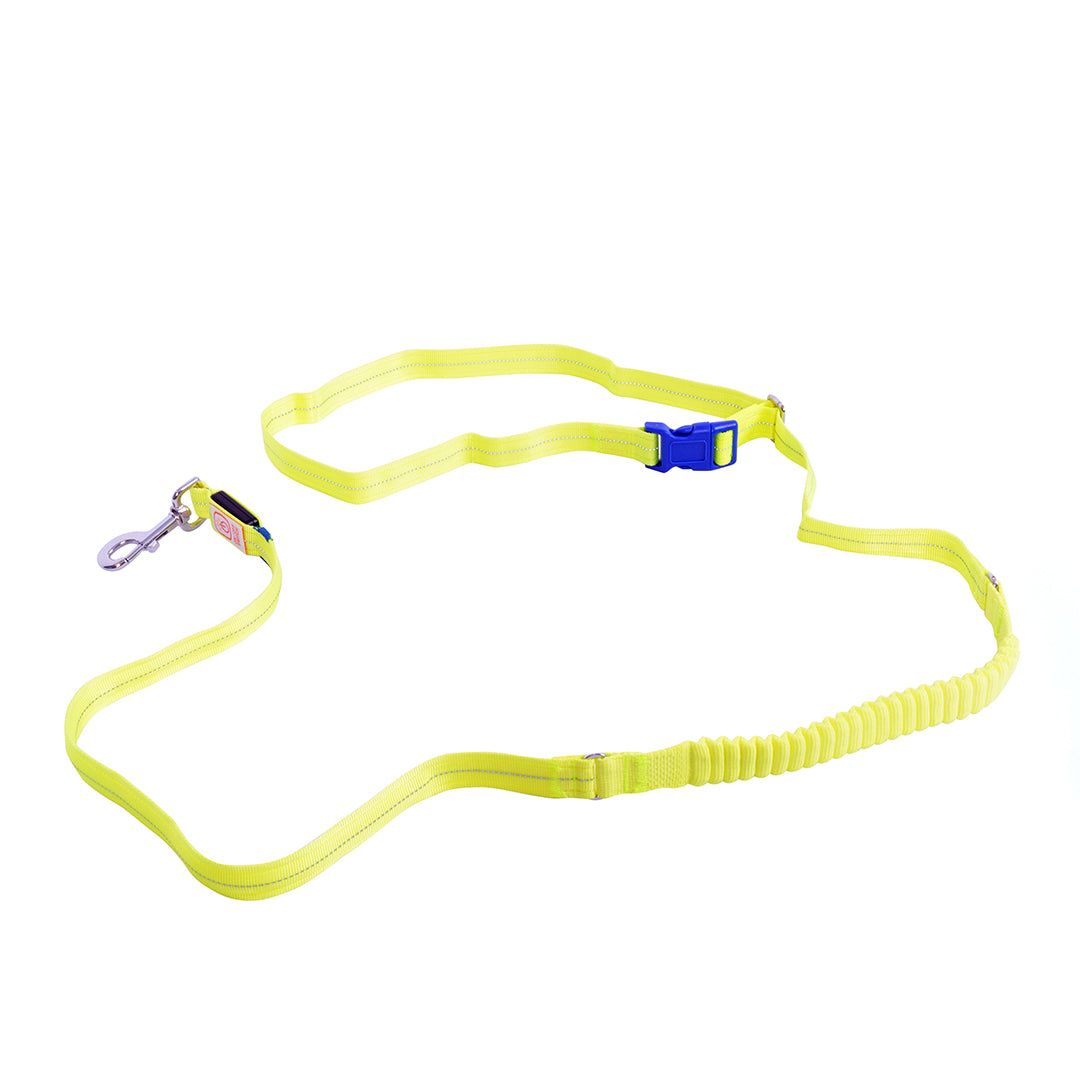 Lesa Luminoasa 200cm/2,5cm pentru caini