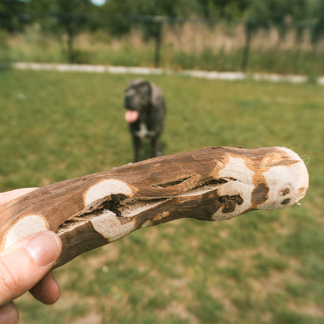 Baton de ros Lemn de viță de vie eco