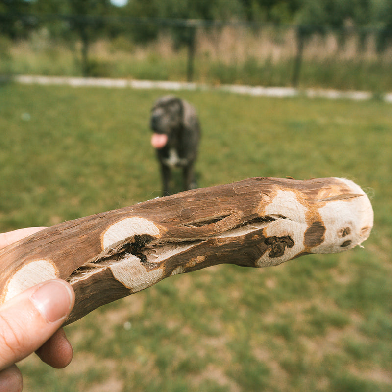 Baton de ros Lemn de viță de vie eco