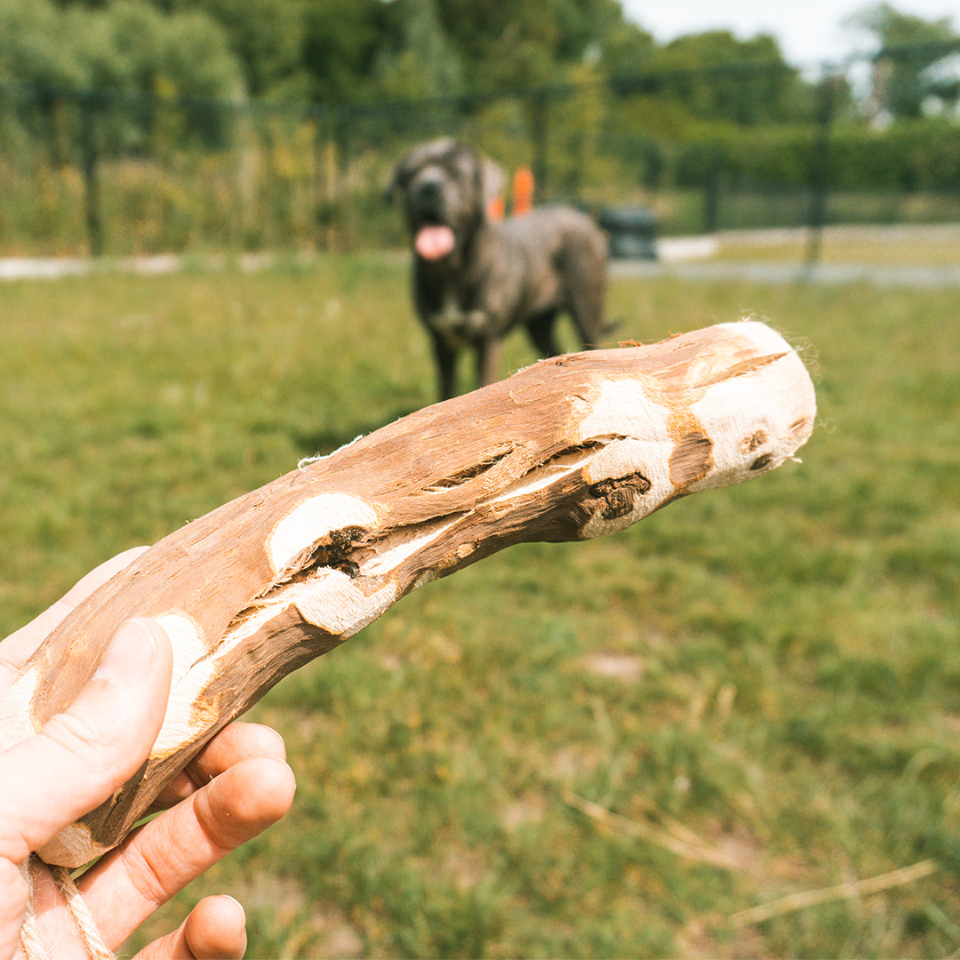 Baton de ros Lemn de viță de vie eco