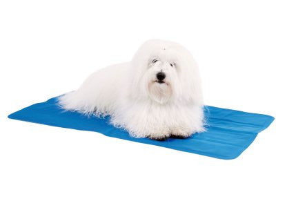 Saltea Catei Racoritoare Snow Tech - PetGuru