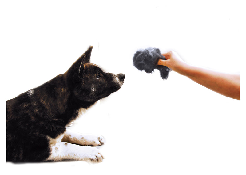 Show Tech Jucarie  Soarece cu Squeaker