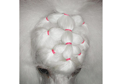 Accesorii Par Caini Benzi latex cul. naturala Top knot 1000 Buc