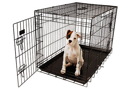 cusca caini de transport, pet guru, pet shop