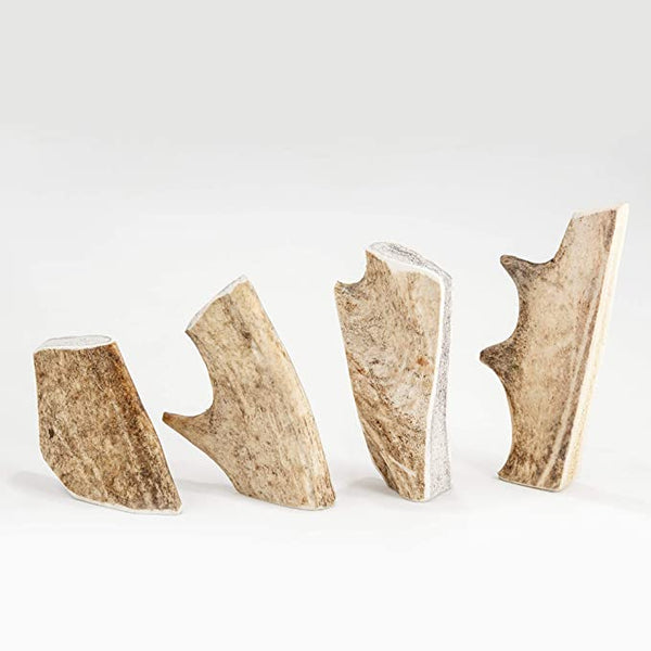 Corn de Cerb Lopatar DUR(1 bucata)