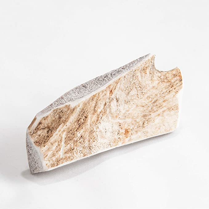 Corn de Cerb Lopatar DUR(1 bucata)