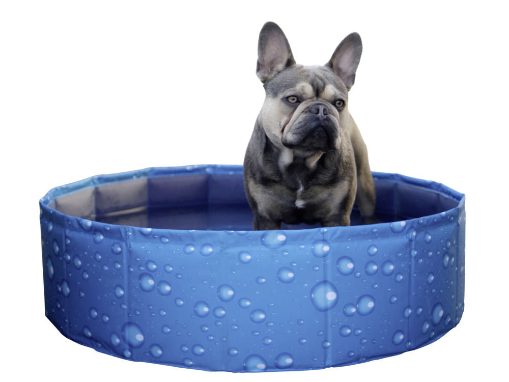 Piscina Bubble pentru caini 120x120x30cm, albastra