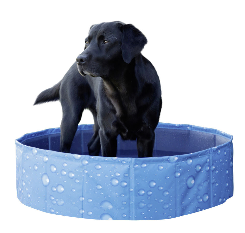 Piscina Bubble pentru caini 120x120x30cm, albastra