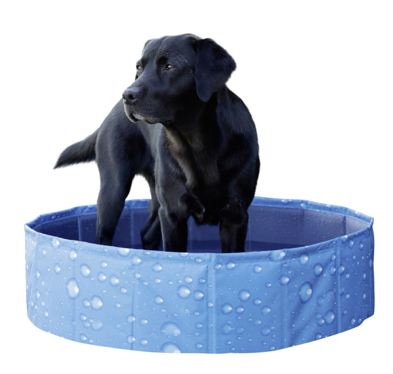 Piscina Bubble pentru caini 120x120x30cm, albastra