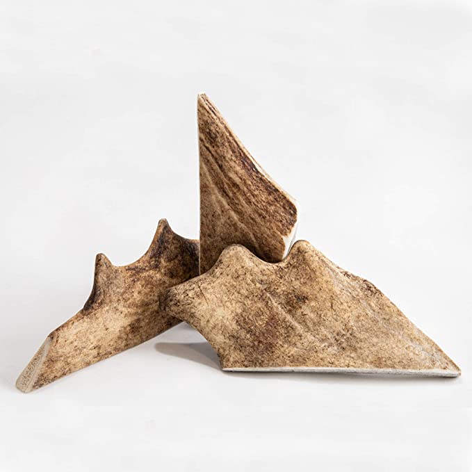 Corn de Cerb Lopatar DUR(1 bucata)