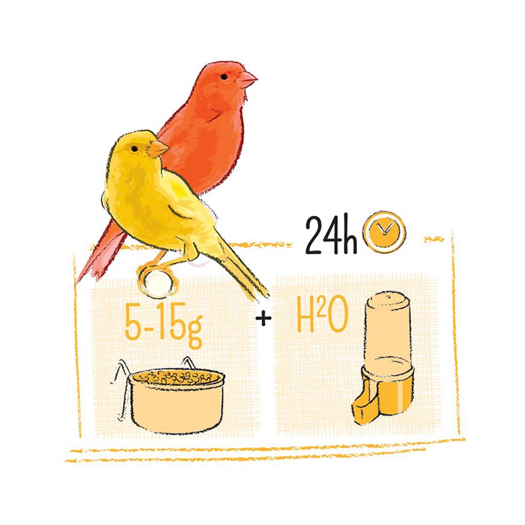 PUUR Hrană completă pentru canari 2kg