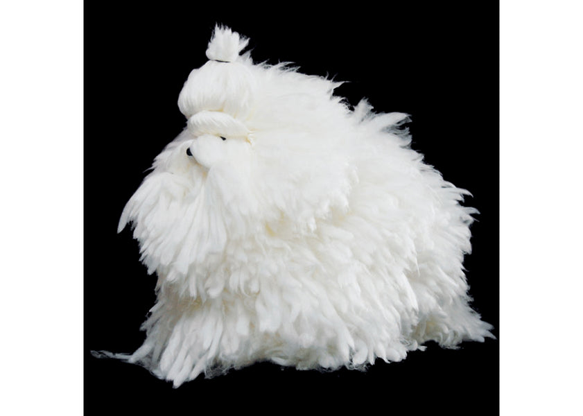 Show Tech Caine Model Educational- Alb