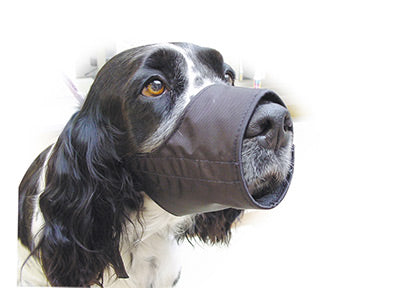 Botnita Show Tech material textil