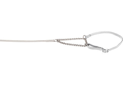 Lesa prezentare cu zgarda Combi Alba 0.7cmx140cm