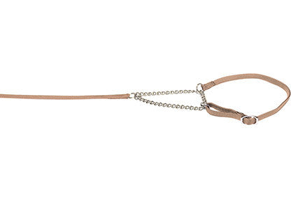 Lesa prezentare cu zgarda Combi Crem 0.7cmx140cm - PetGuru Pet Shop by Vetomed
