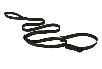 Show Tech Lesa de prezentare cu zgarda 12mmx150cm Neagra