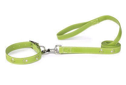 Lesa verde cu labute sclipicioase 2,5 X 180 cm - PetGuru Pet Shop by Vetomed
 - 1