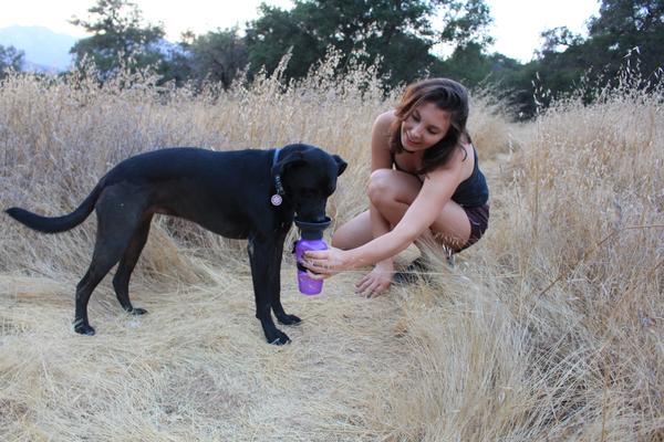 Highwave Auto Dog Mug sticla de apa pentru caini albastru