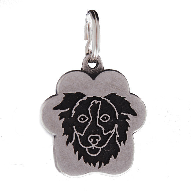 medalioane caini border collie, pet guru, pet shop