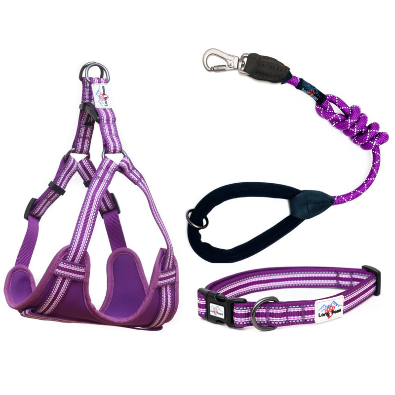 Ham Long Paws Comfort Collection Mov