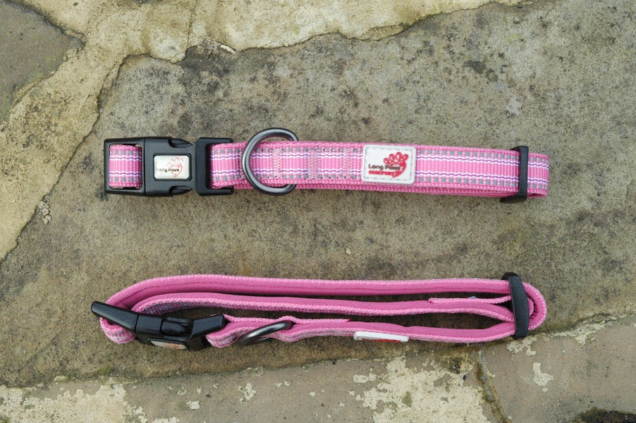 .Zgarda Long Paws Comfort Collection Roz - PetGuru Pet Shop by Vetomed
 - 1