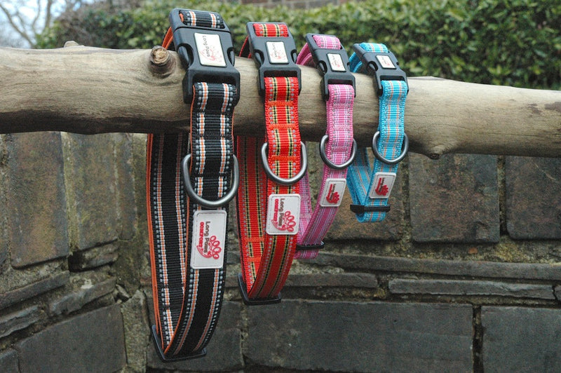 .Zgarda Long Paws Comfort Collection Rosu - PetGuru Pet Shop by Vetomed
 - 3